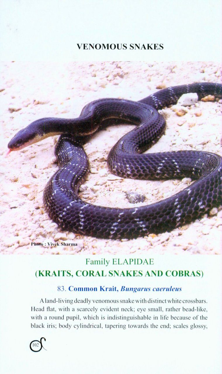 A Pictorial Handbook on Some Lizards and Snakes of Western Ghats