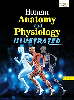 Human Anatomy and Physiology Illustrated