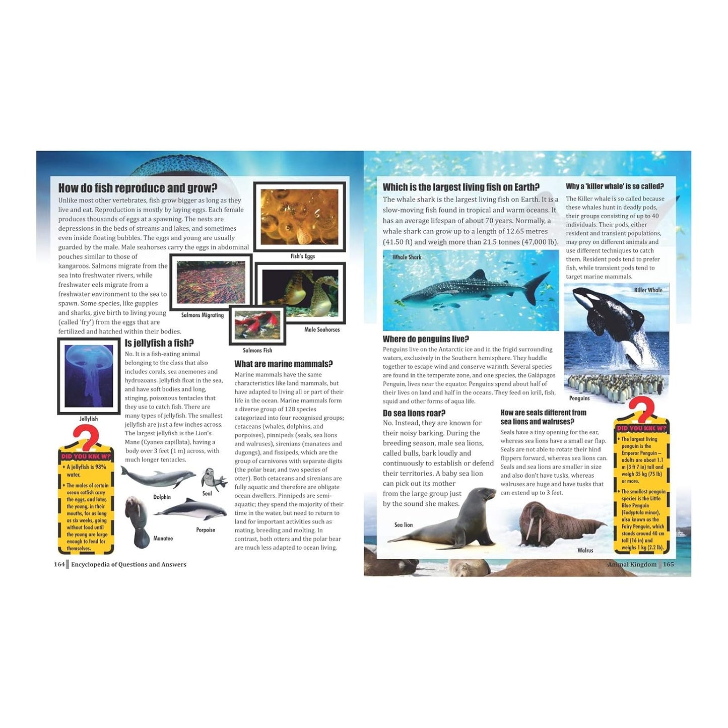 Encyclopedia Of Questions & Answers