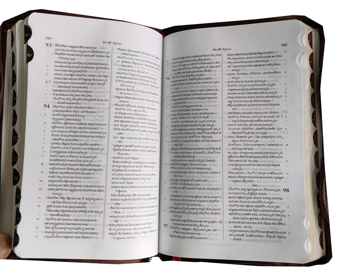 Telugu (O.V.) 2021 Bible Cut Thumb Index/ZIP Compact Contains Old and New Testament BSI