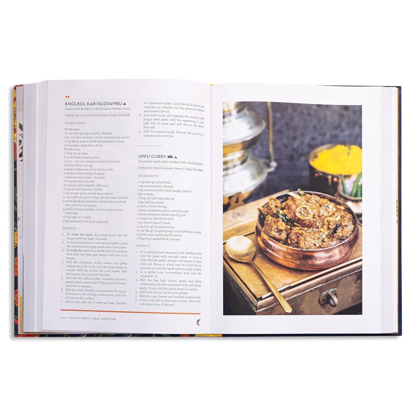 Tiffin: 500 Authentic Recipes Celebrating India's Regional Cuisine