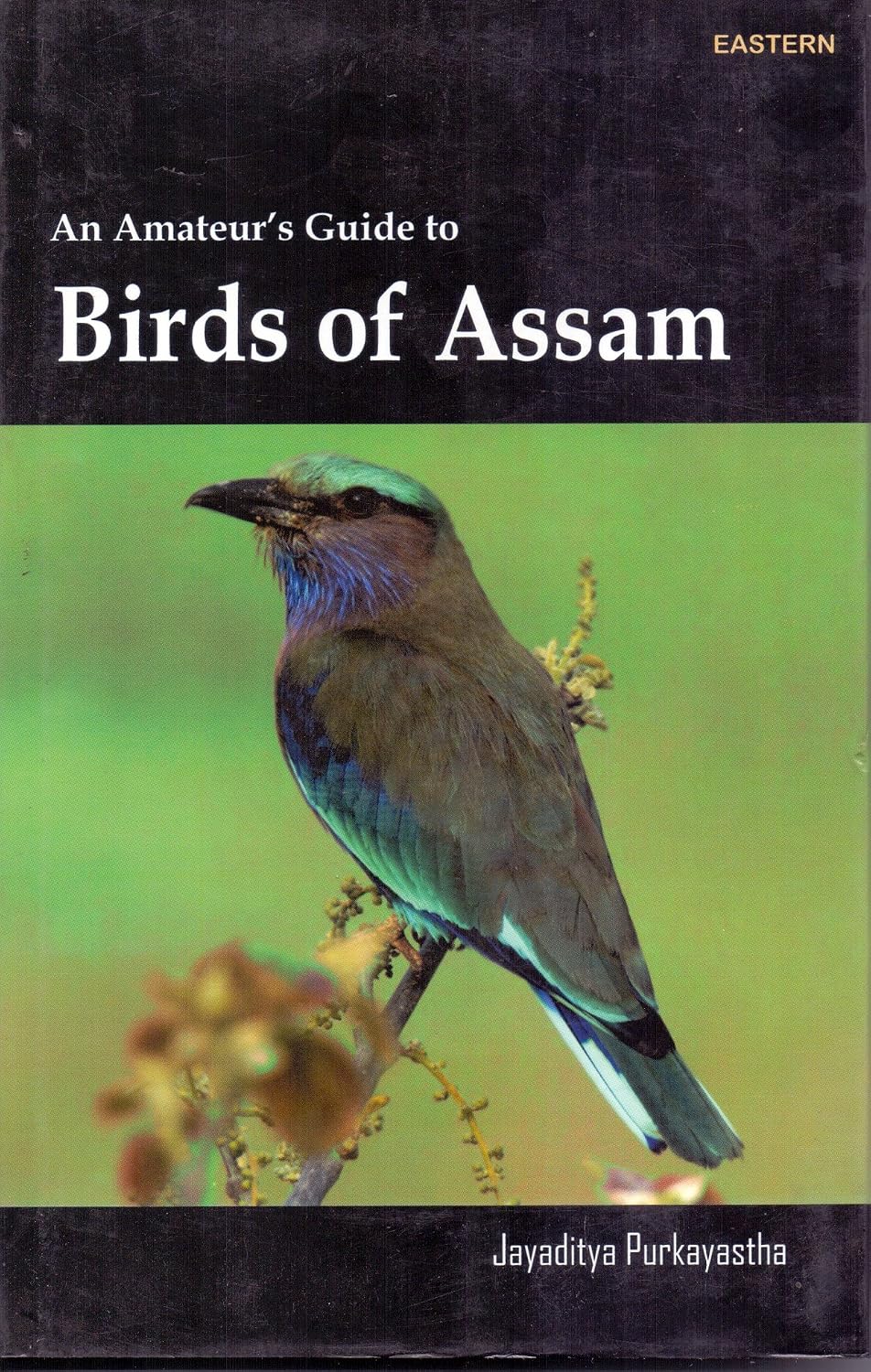 An Amateur's Guide To: Birds of Assam