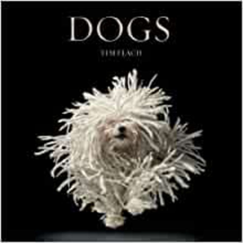 Dogs (Tim Flach)