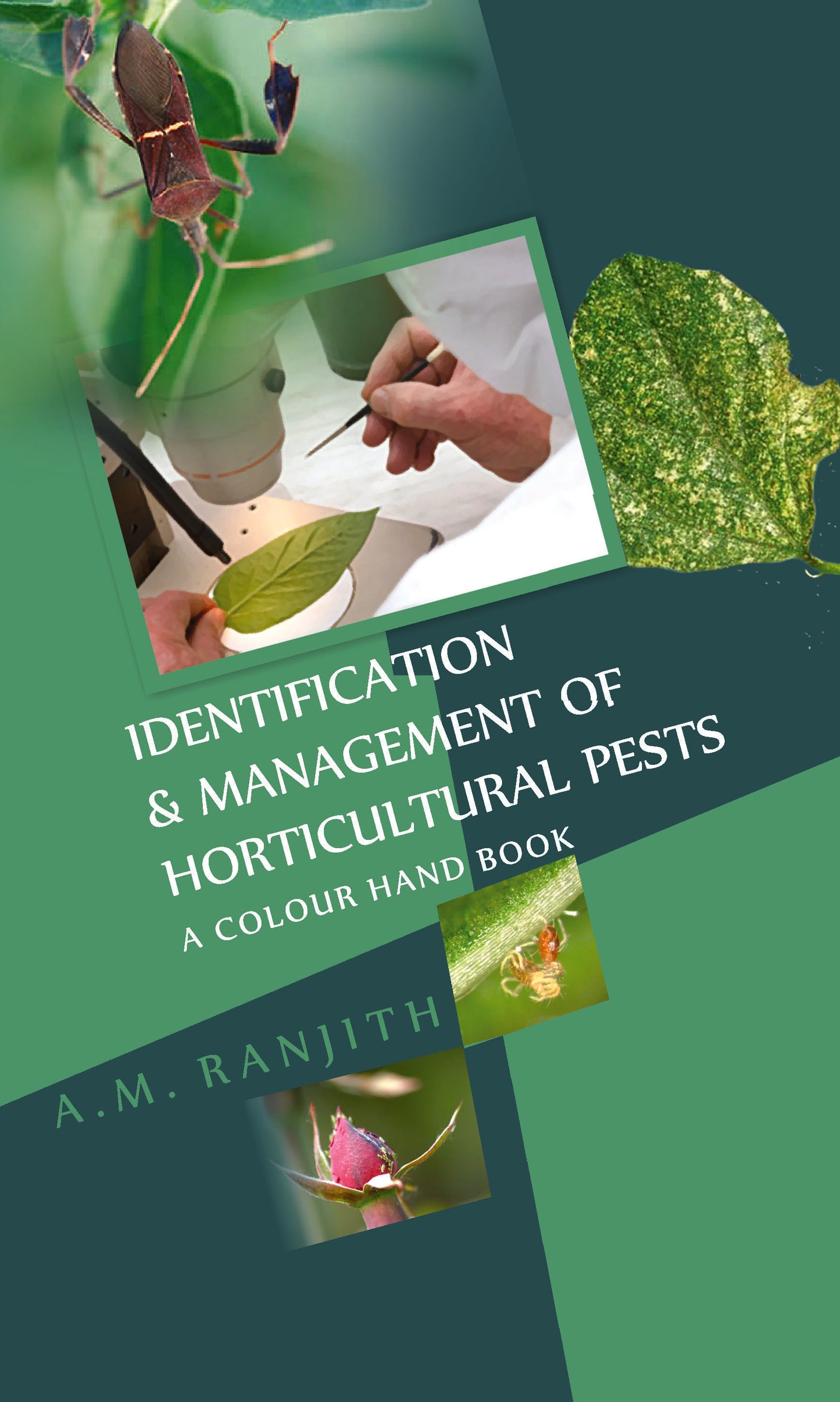 Identification and Management of Horticultural Pests