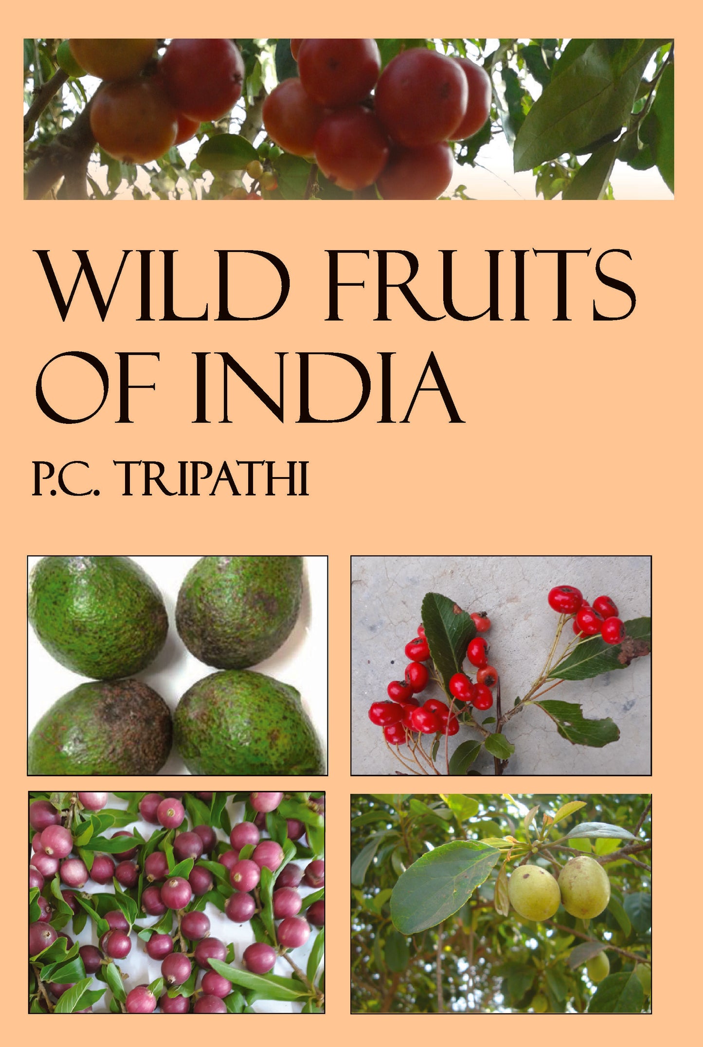 Wild Fruits of India