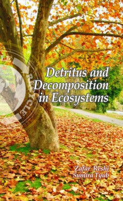 Detritus and Decomposition in Ecosystems