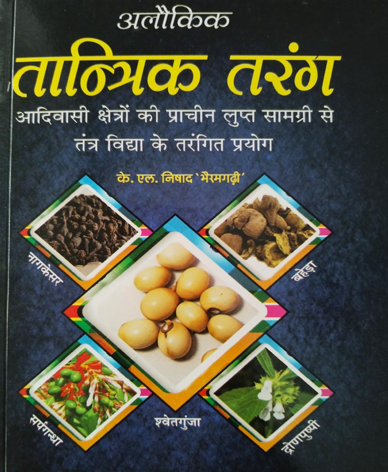 Book-Tantrik Tarang तांत्रिक तरंग