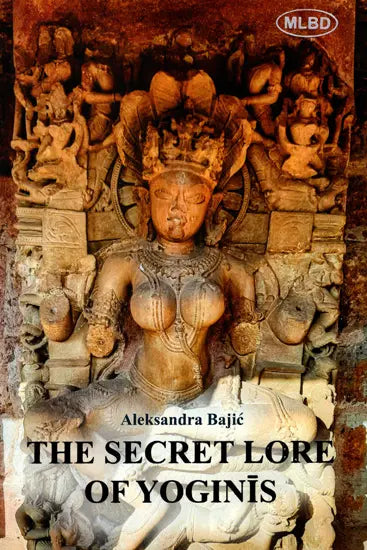 The Secret Lore of Yoginis- Astronomical Knowledge woven into the Teachings of Tantra