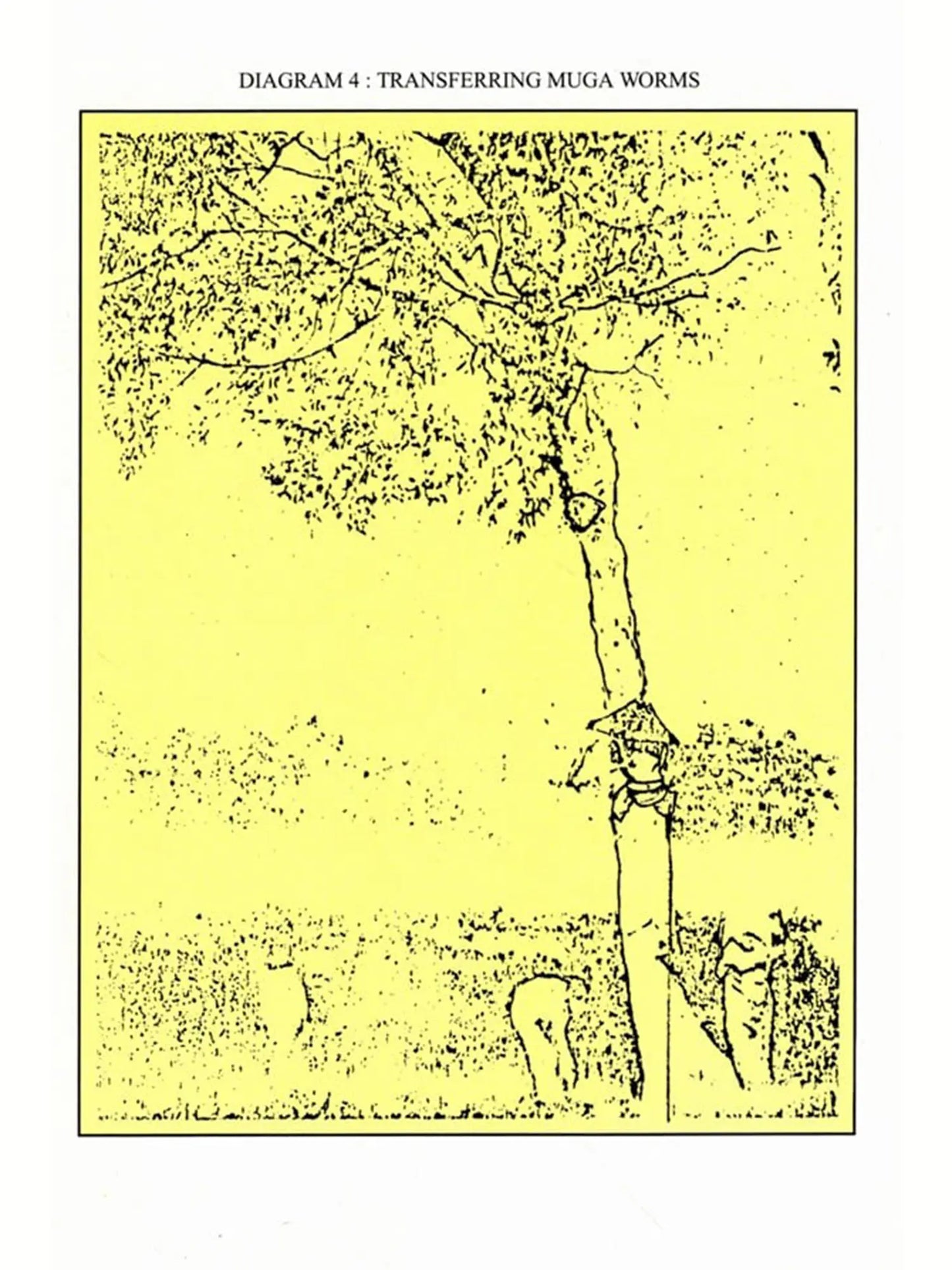 Indigenous Industries of Assam (1870-1925)