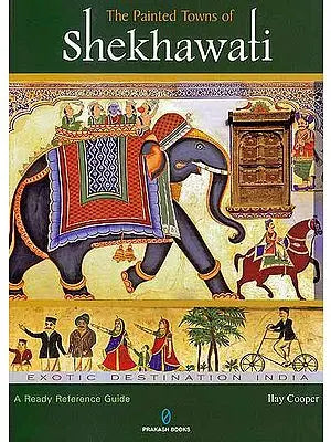 The Painted Towns of Shekhawati