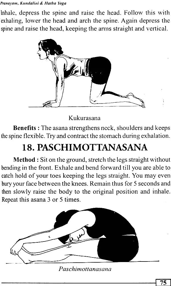 Pranayam Kundalini Hathayoga