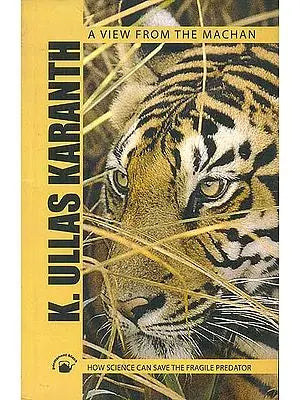 A View From The Machan (How Science Can Save The Fragile Predator)