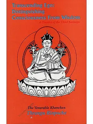 Transcending Ego : Distinguishing Consciousness from Wisdom