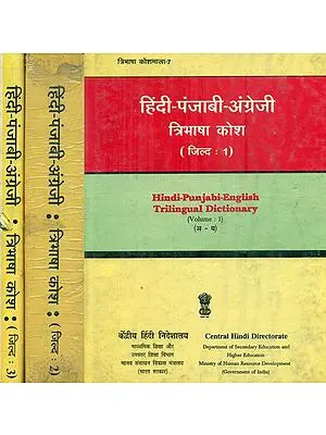 हिंदी पंजाबी अंग्रेजी : Hindi, Punjabi and English Dictionary in Set of 3 Volumes (An Old and Rare Book)