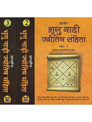 प्राचीन भृगु नाड़ी ज्योतिष संहिता- Ancient Bhrigu Nadi Jyotish Samhita With Horoscopes Example (Set Of 3 Volumes)