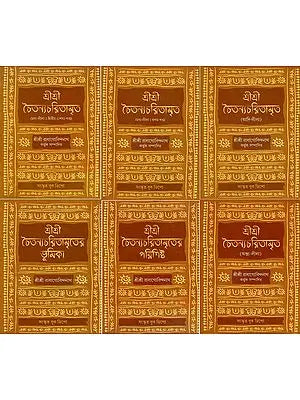 Sri Sri Chaitanya Charitamrita With Radha Govinda Nath's Commentry in Bengali- Adi Lila, Madhya Lila and Antya Lila (Set of 6 Books)