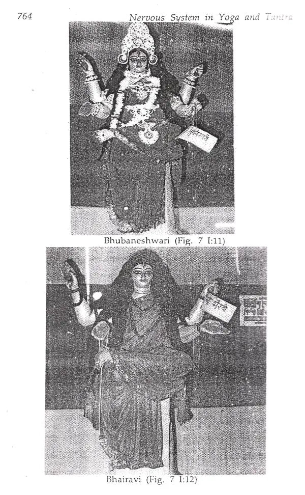 Nervous System in Yoga and Tantra (Implication in Ayurveda)