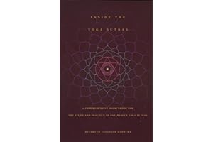 Inside the Yoga Sutras: A Comprehensive Sourcebook for the Study & Practice of Patanjali's Yoga Sutras