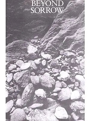 Beyond Sorrow