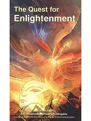 The Quest for Enlightenment