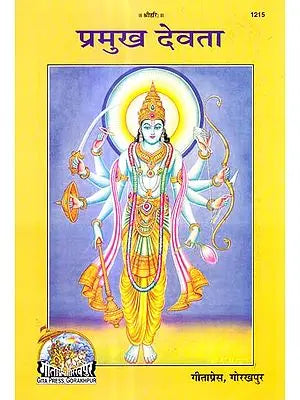प्रमुख देवता: The Principal God of Hinduism (Picture Book)