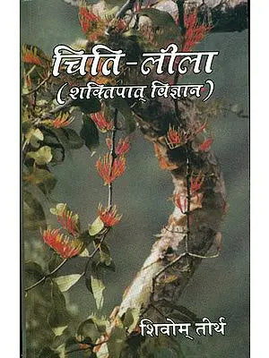 चिति लीला शक्तिपात विज्ञान - Essence of Gita By Swami Shivom Tirth