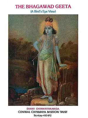 The Bhagawad Geeta (A Bird's Eye View)