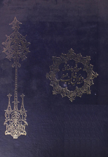 Mirza Ghalib – Urdu Book Set | 14 Timeless Classics