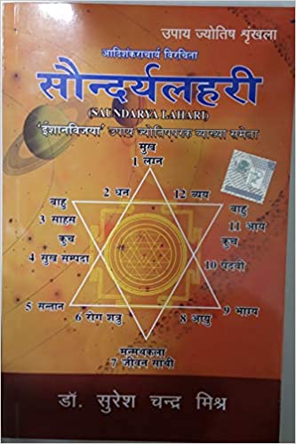 Saundarya Lahari ( सौन्दर्य लहरी )  By Pranav Publication