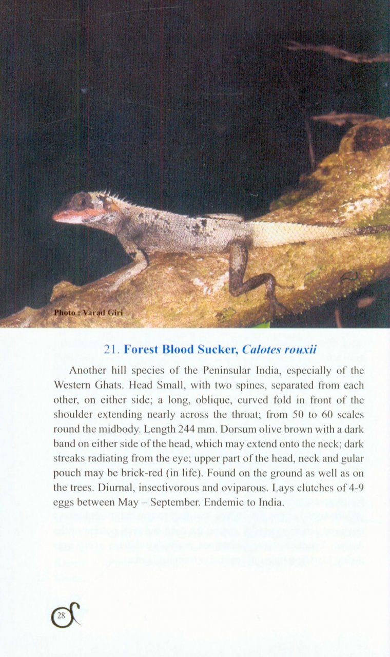 A Pictorial Handbook on Some Lizards and Snakes of Western Ghats