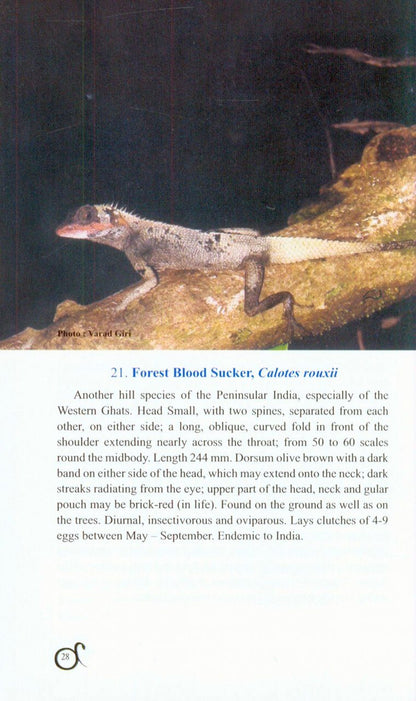 A Pictorial Handbook on Some Lizards and Snakes of Western Ghats
