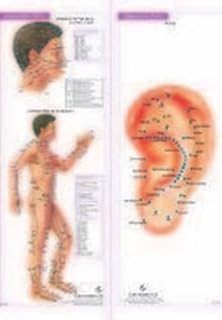 ACUPUNCTURE/ACUPRES. CHART (set of 4)