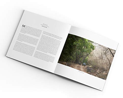 Hamir : The Fallen Prince of Ranthambore