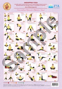 Prenatal Yoga Wall Chart (Andiappan Yoga - Wall Chart)