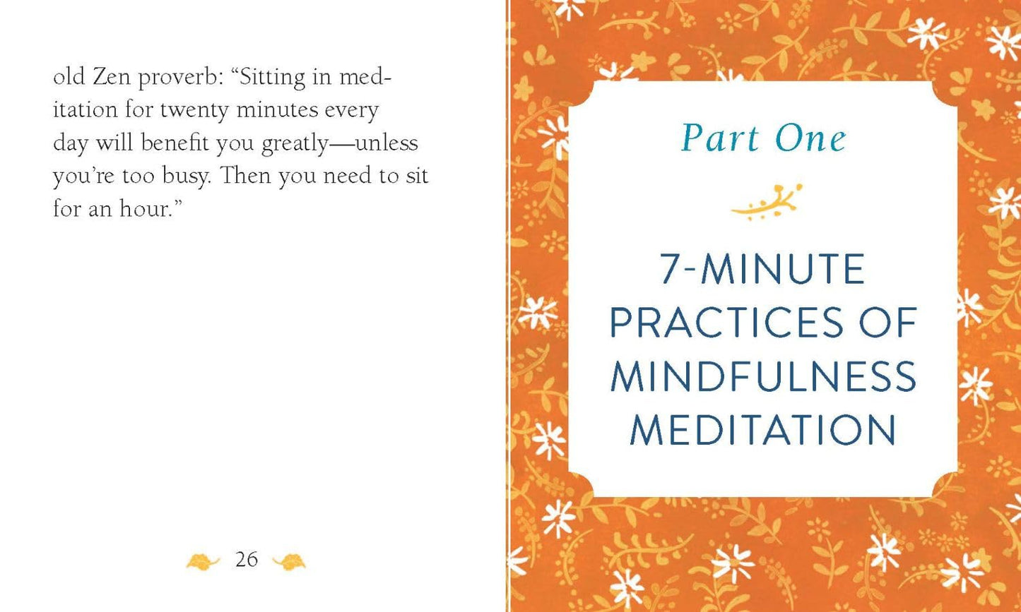 The Mini Book of Mindfulness