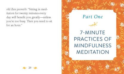 The Mini Book of Mindfulness