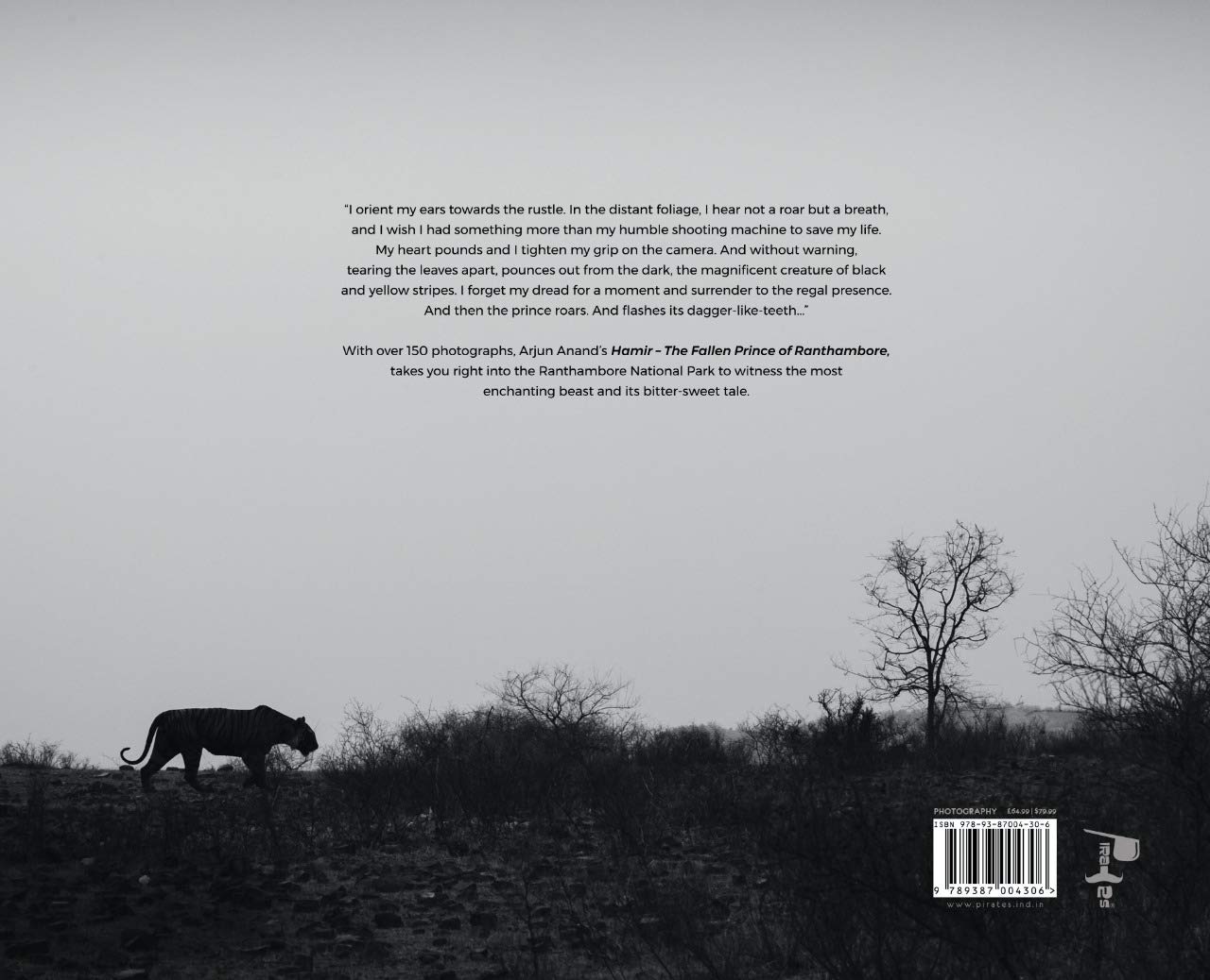 Hamir : The Fallen Prince of Ranthambore