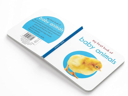 My First Complete Learning Library: Boxset of 20 Board Books