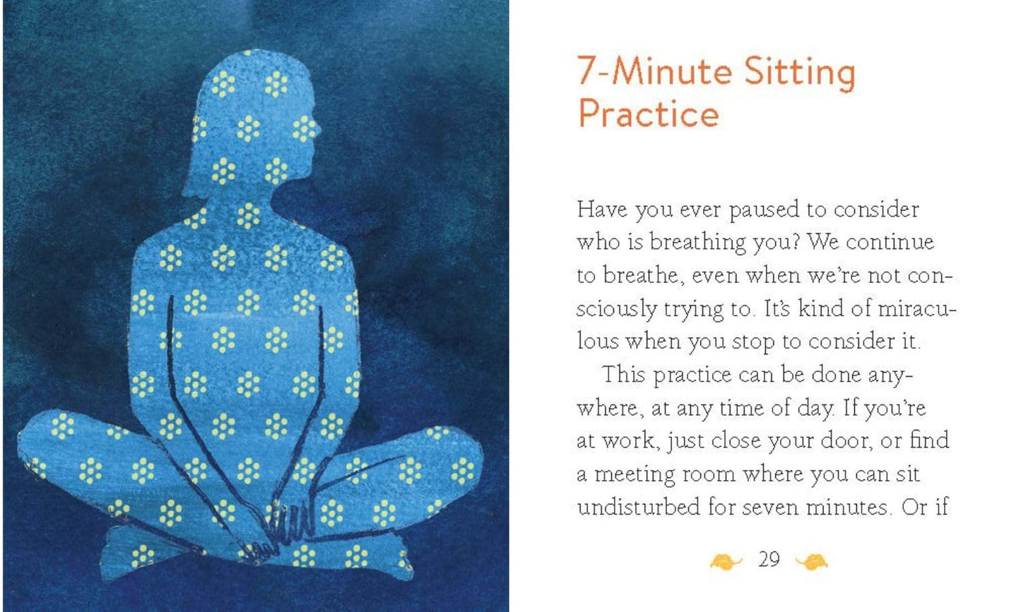 The Mini Book of Mindfulness