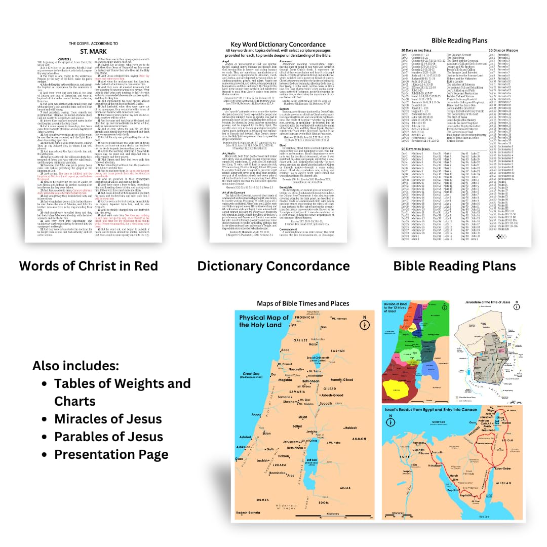 KJV Holy Bible Burgundy Leather King James Version