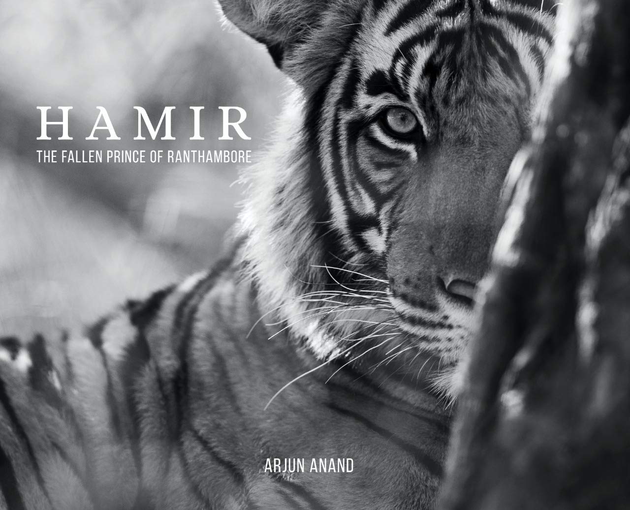 Hamir : The Fallen Prince of Ranthambore