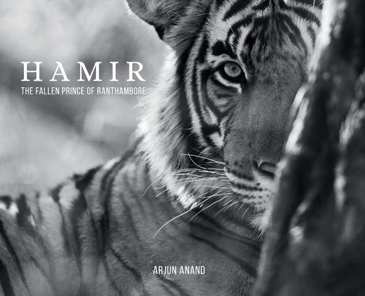 Hamir : The Fallen Prince of Ranthambore