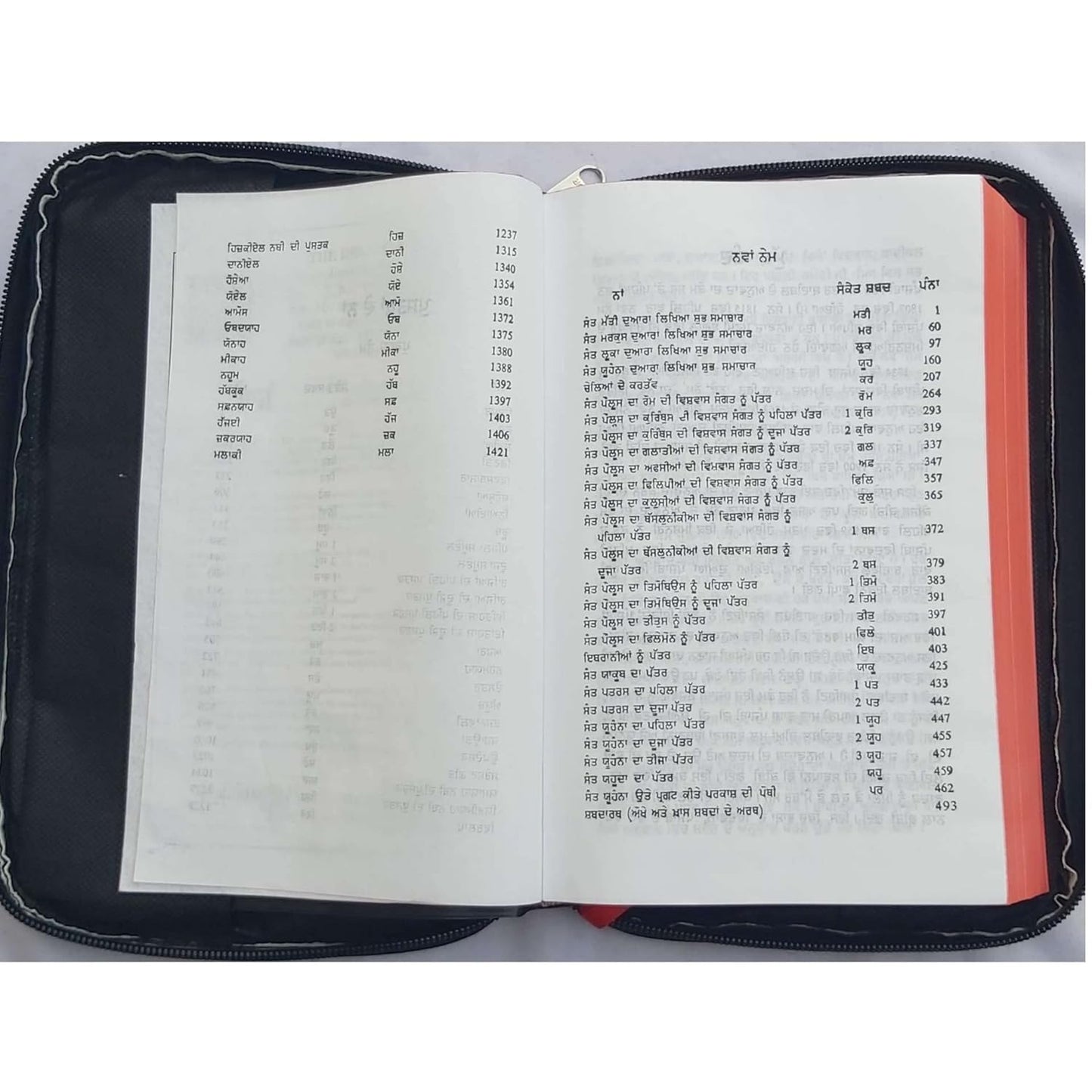 The Holy Punjabi Bible with Leather Type Bible Cover