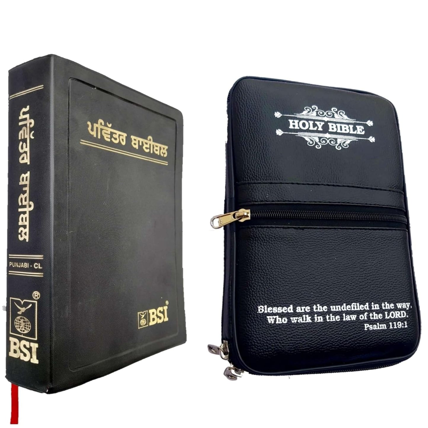 The Holy Punjabi Bible with Leather Type Bible Cover