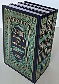 Meaning of Noble Quran (Word for Word) 3 Vol. By - Aftab Alam Khan