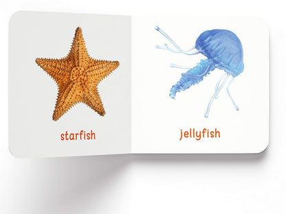 My First Complete Learning Library: Boxset of 20 Board Books