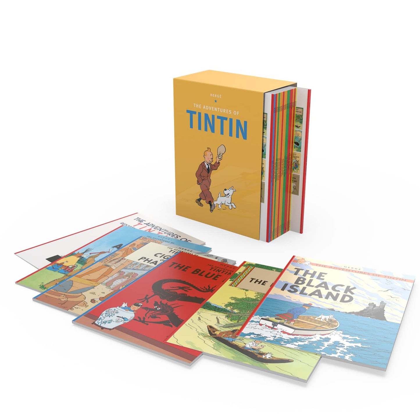 Tintin Paperback Boxed Set 23 Titles by Herge
