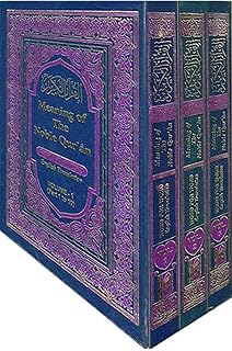 meaning of the noble qur'an: vol 1-3