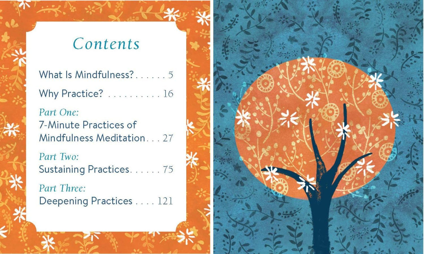 The Mini Book of Mindfulness