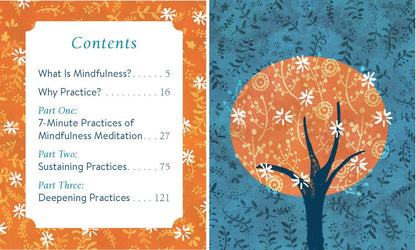 The Mini Book of Mindfulness